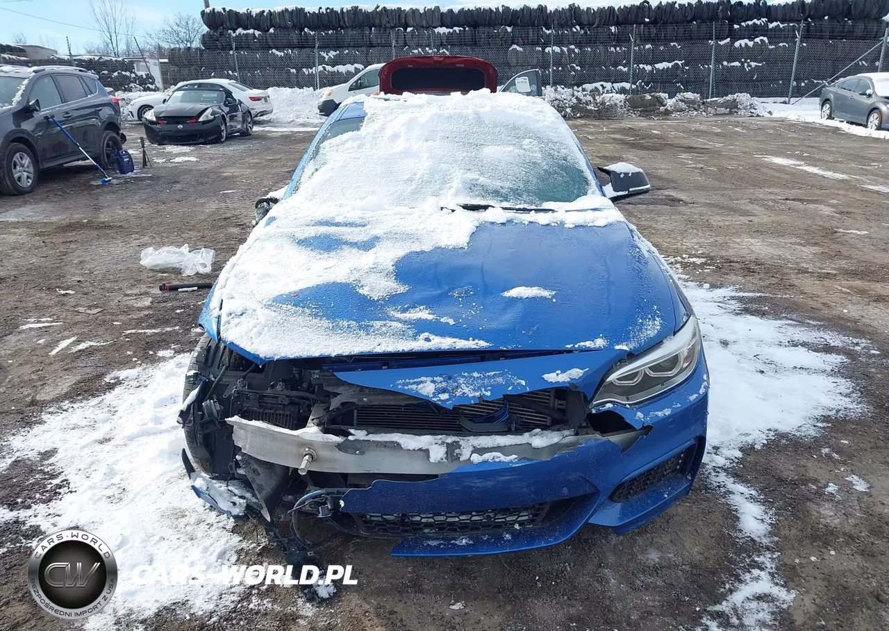 2015 BMW M235 xDrive VIN:WBA1J9C50FVX99199 - 11