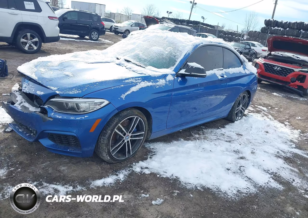 2015 BMW M235 xDrive VIN:WBA1J9C50FVX99199 - 2