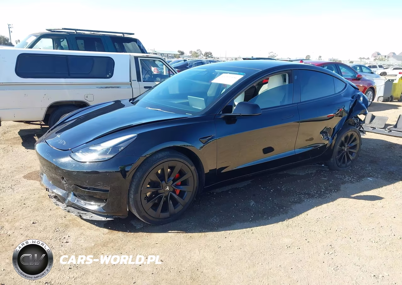 2022 Tesla Model 3 Rear-Wheel Drive VIN:5YJ3E1EA7NF134096 - 2