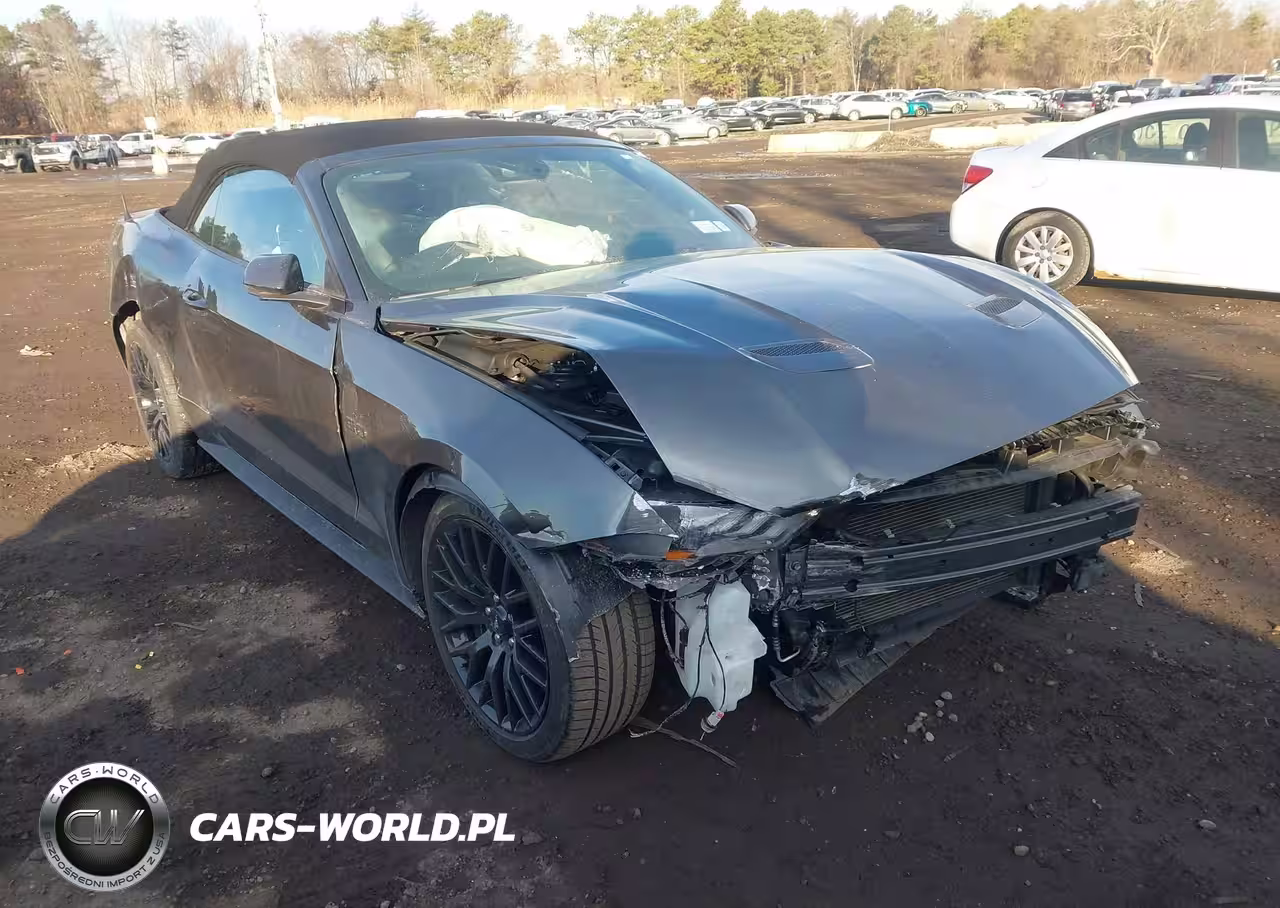 2019 Ford Mustang Gt Premium