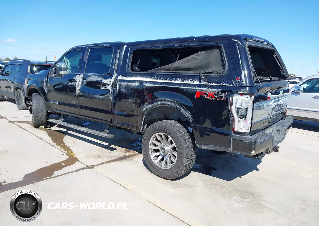 2019 Ford F-250 Platinum VIN:1FT7W2BT8KEG73110 - 3