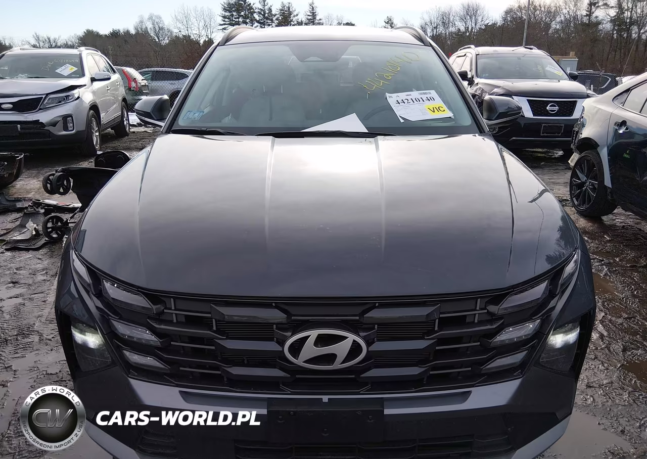 2025 Hyundai Tucson Sel Convenience VIN:5NMJCCDE5SH475472 - 12