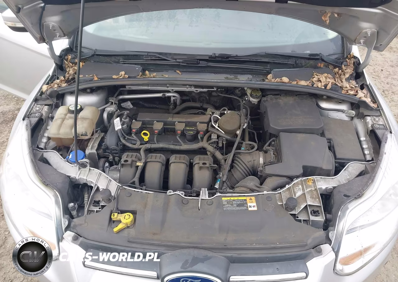 2013 Ford Focus Se VIN:1FADP3F21DL235833 - 10