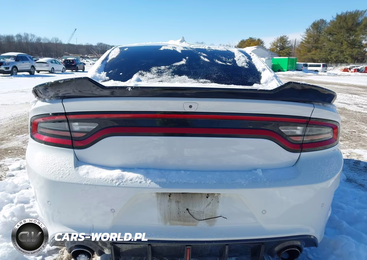 2019 Dodge Charger R-T Rwd VIN:2C3CDXCT9KH627072 - 15