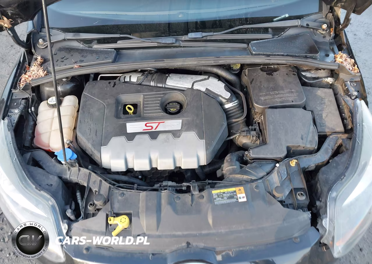 2013 Ford Focus St VIN:1FADP3L9XDL126630 - 10