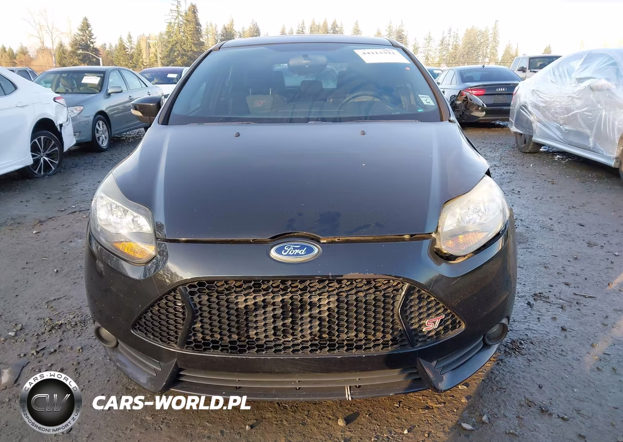 2013 Ford Focus St VIN:1FADP3L9XDL126630 - 12