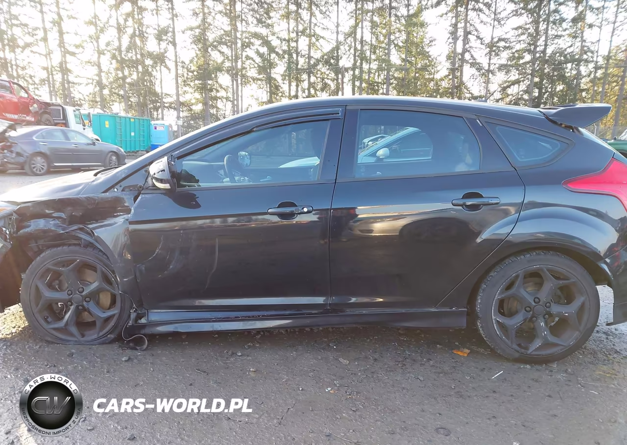 2013 Ford Focus St VIN:1FADP3L9XDL126630 - 14
