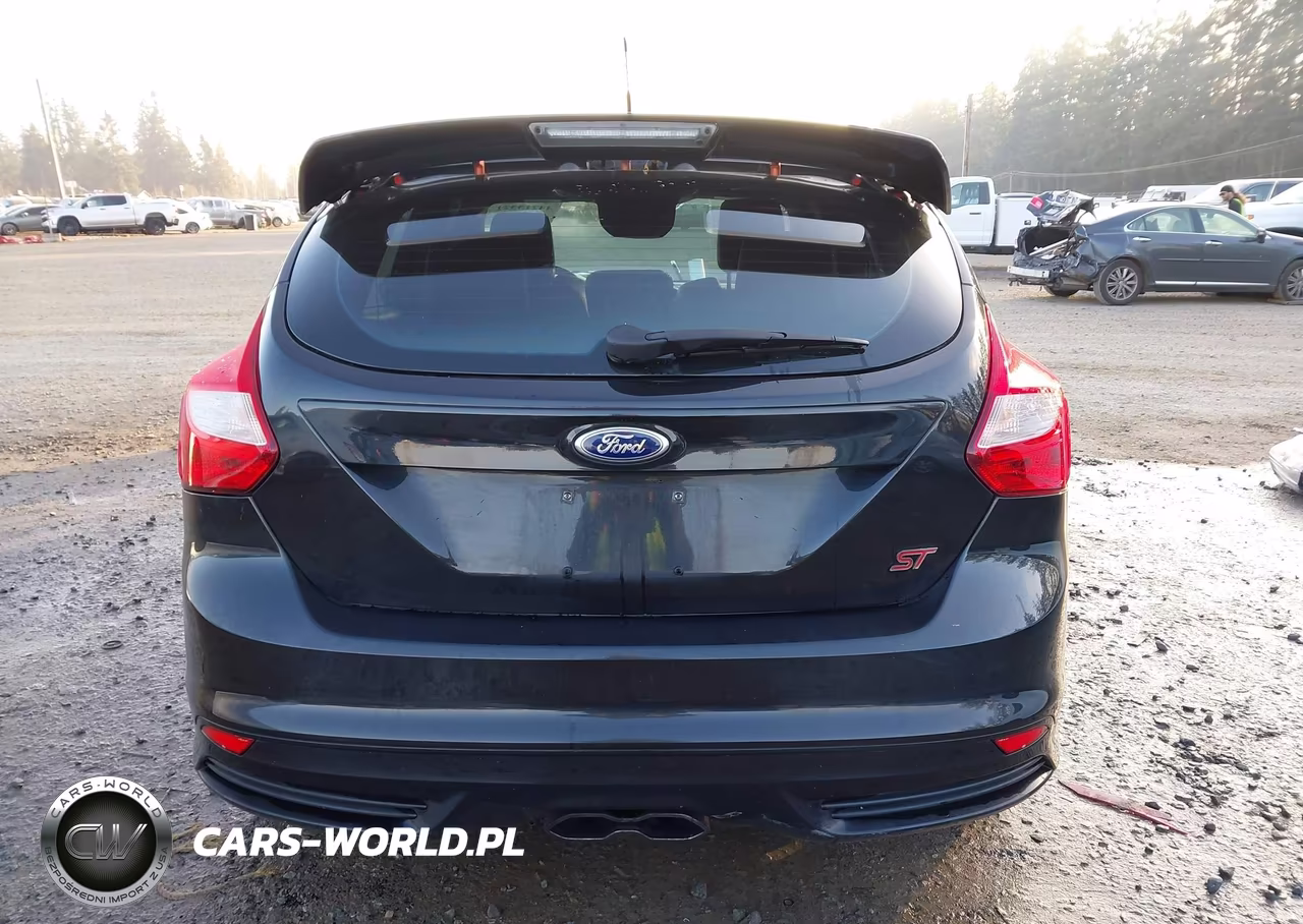 2013 Ford Focus St VIN:1FADP3L9XDL126630 - 16
