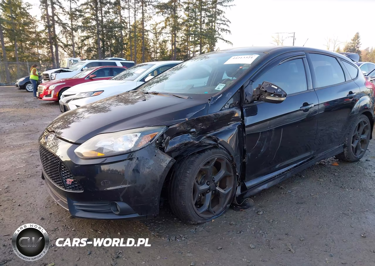 2013 Ford Focus St VIN:1FADP3L9XDL126630 - 6