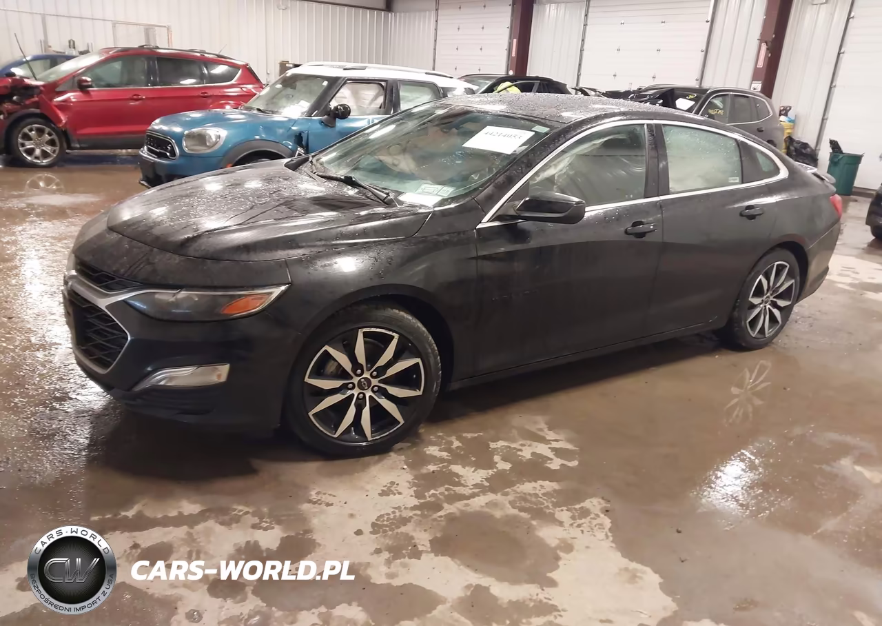 2023 Chevrolet Malibu Fwd Rs VIN:1G1ZG5ST5PF143078 - 2