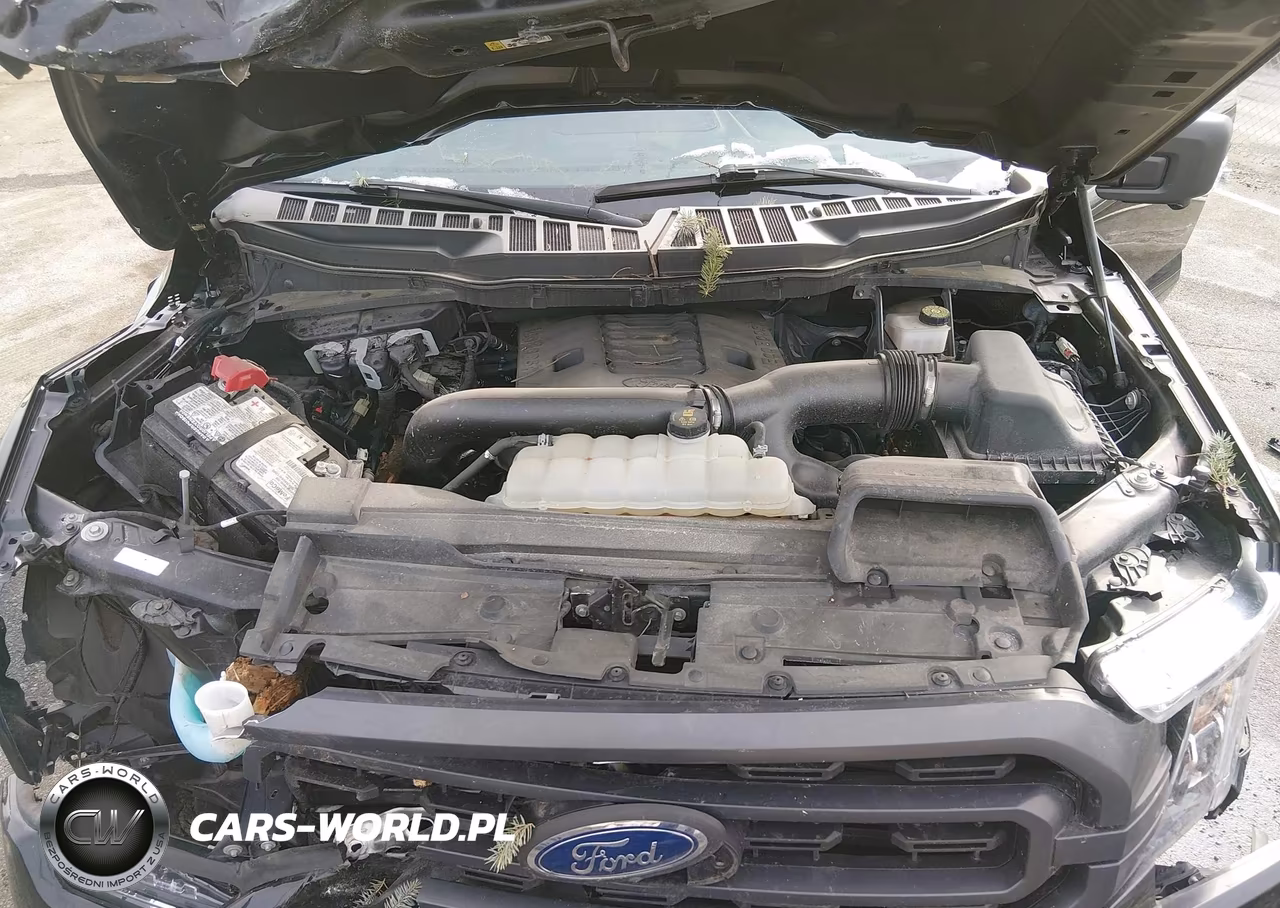 2021 Ford F-150 Xlt VIN:1FTFW1E86MFC58023 - 10