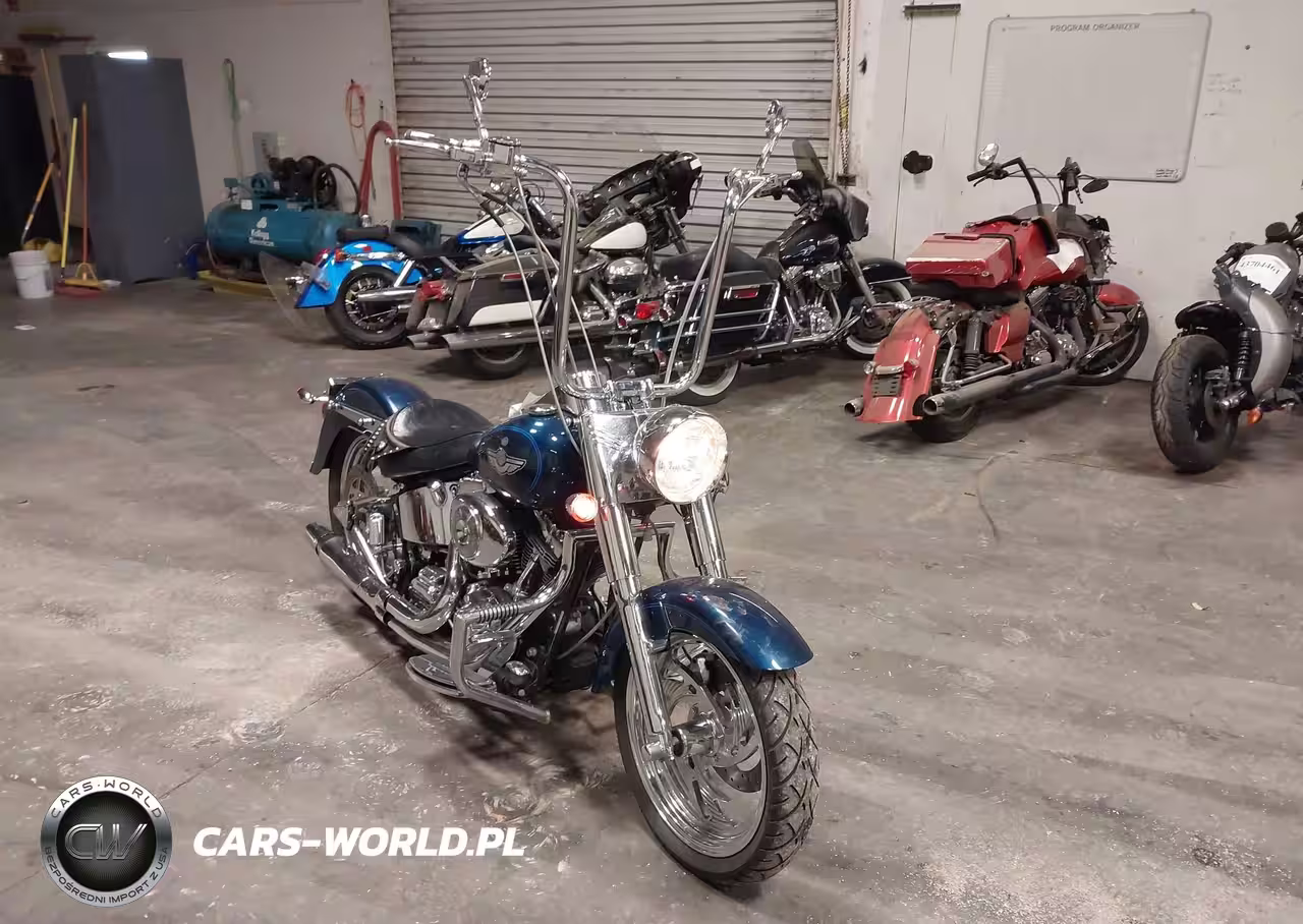 2003 Harley-Davidson Flstfi