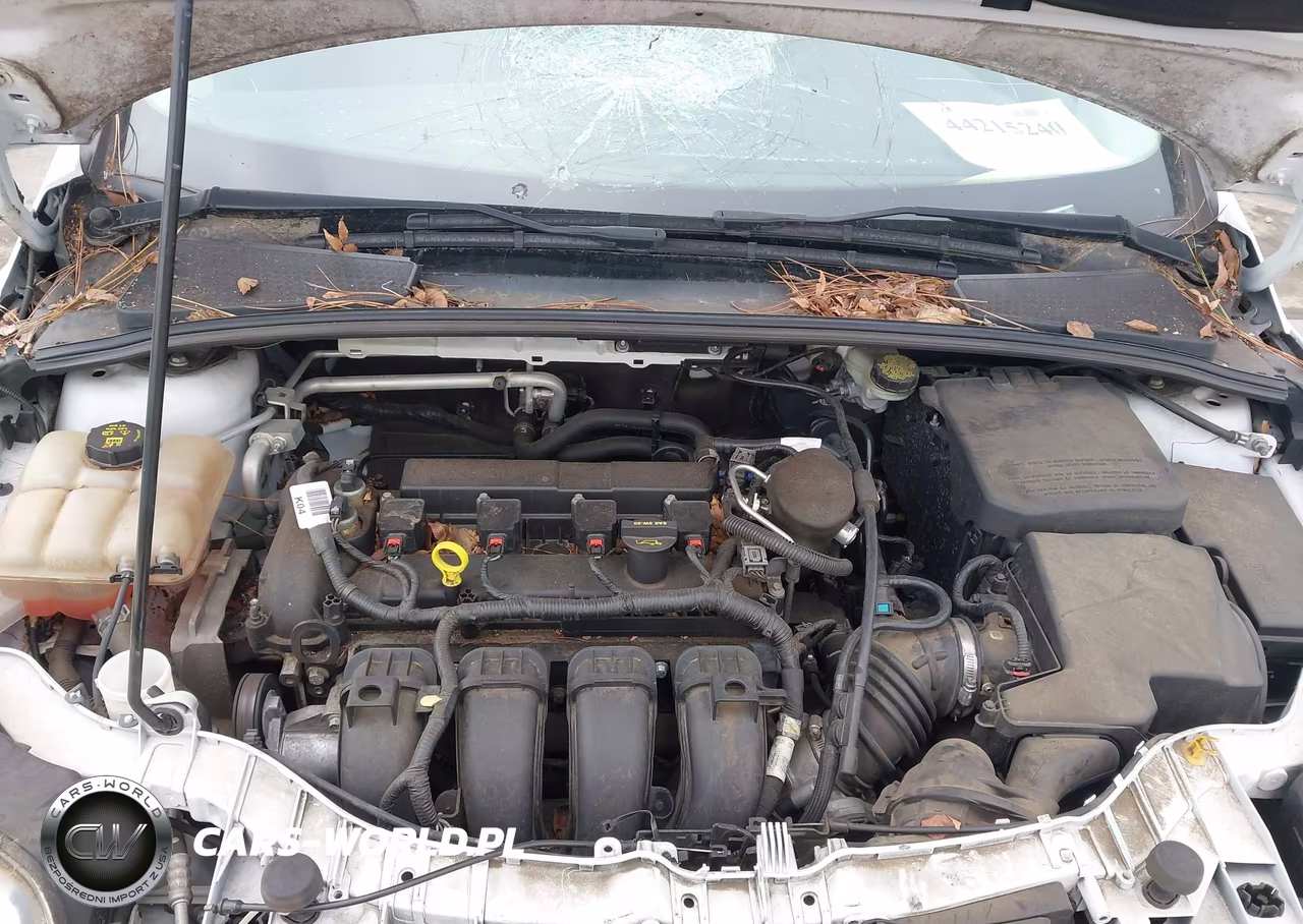 2014 Ford Focus Se VIN:1FADP3F21EL296391 - 10