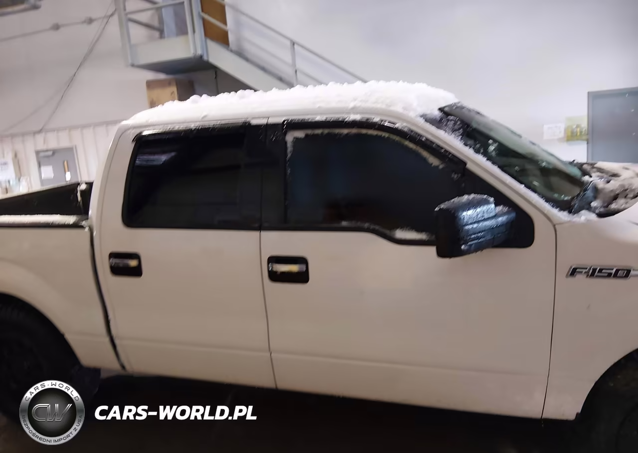 2013 Ford F-150 Xlt VIN:1FTFW1EF8DFC89238 - 13