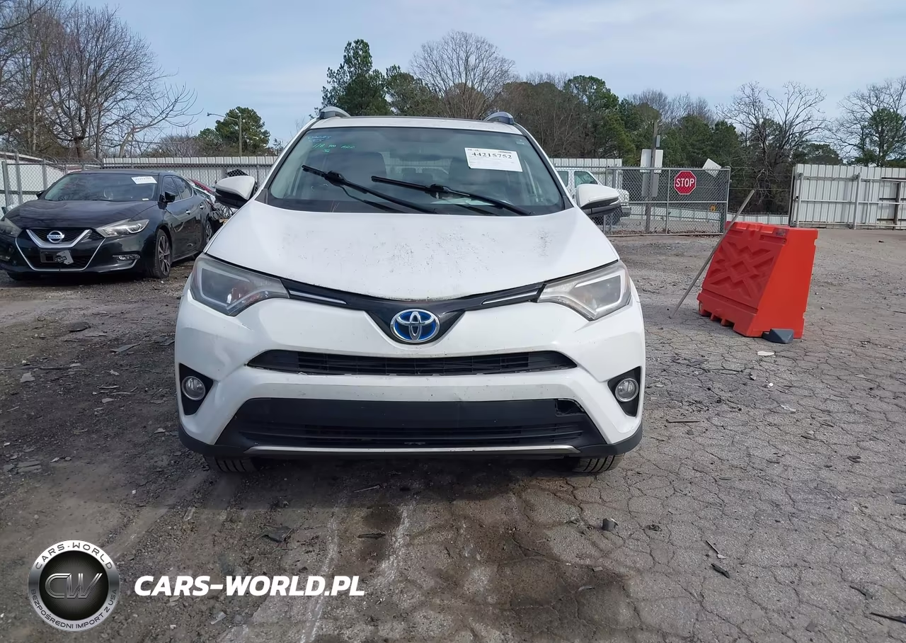 2016 Toyota Rav4 Hybrid Xle VIN:JTMRJREV8GD059118 - 12