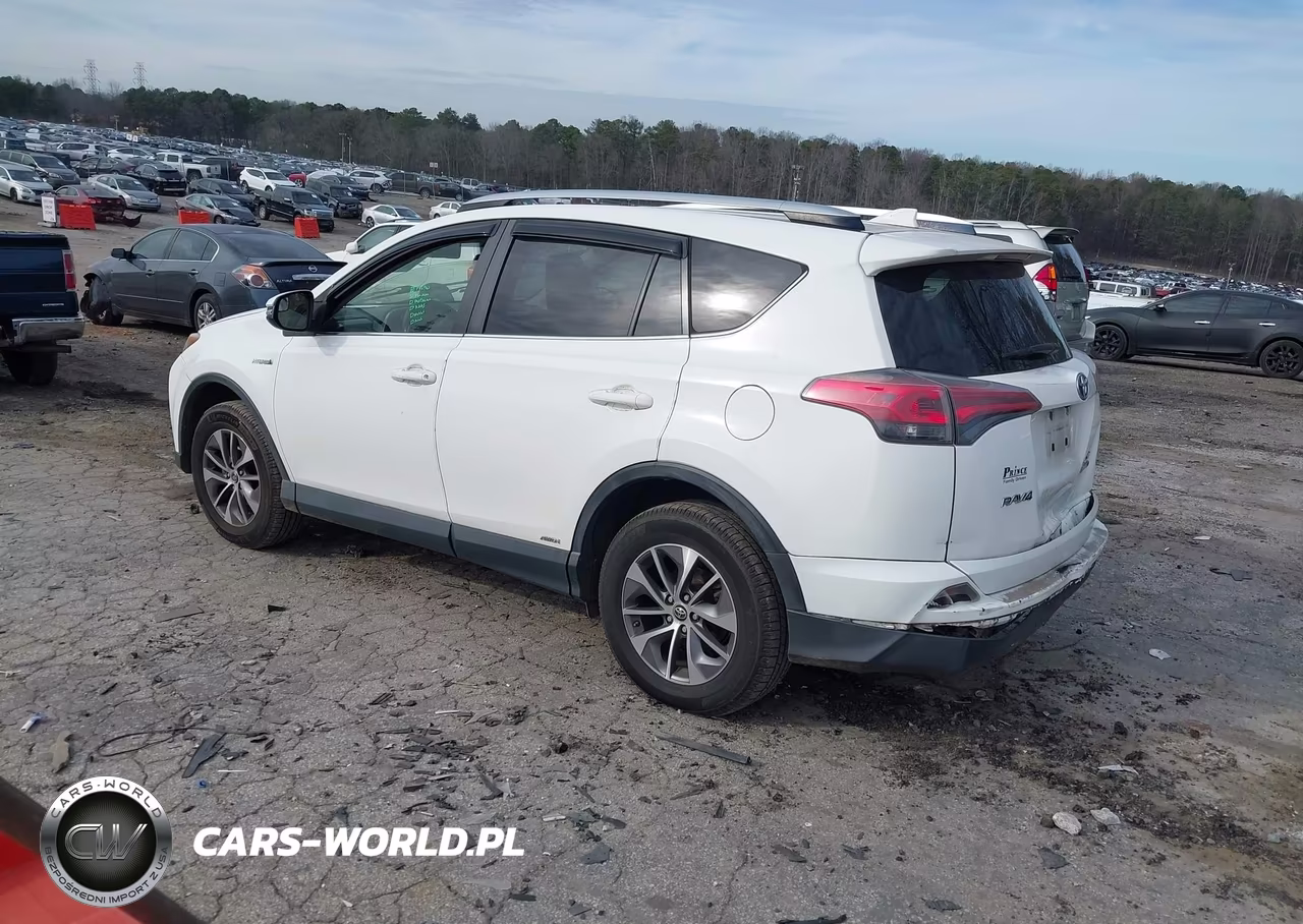 2016 Toyota Rav4 Hybrid Xle VIN:JTMRJREV8GD059118 - 3