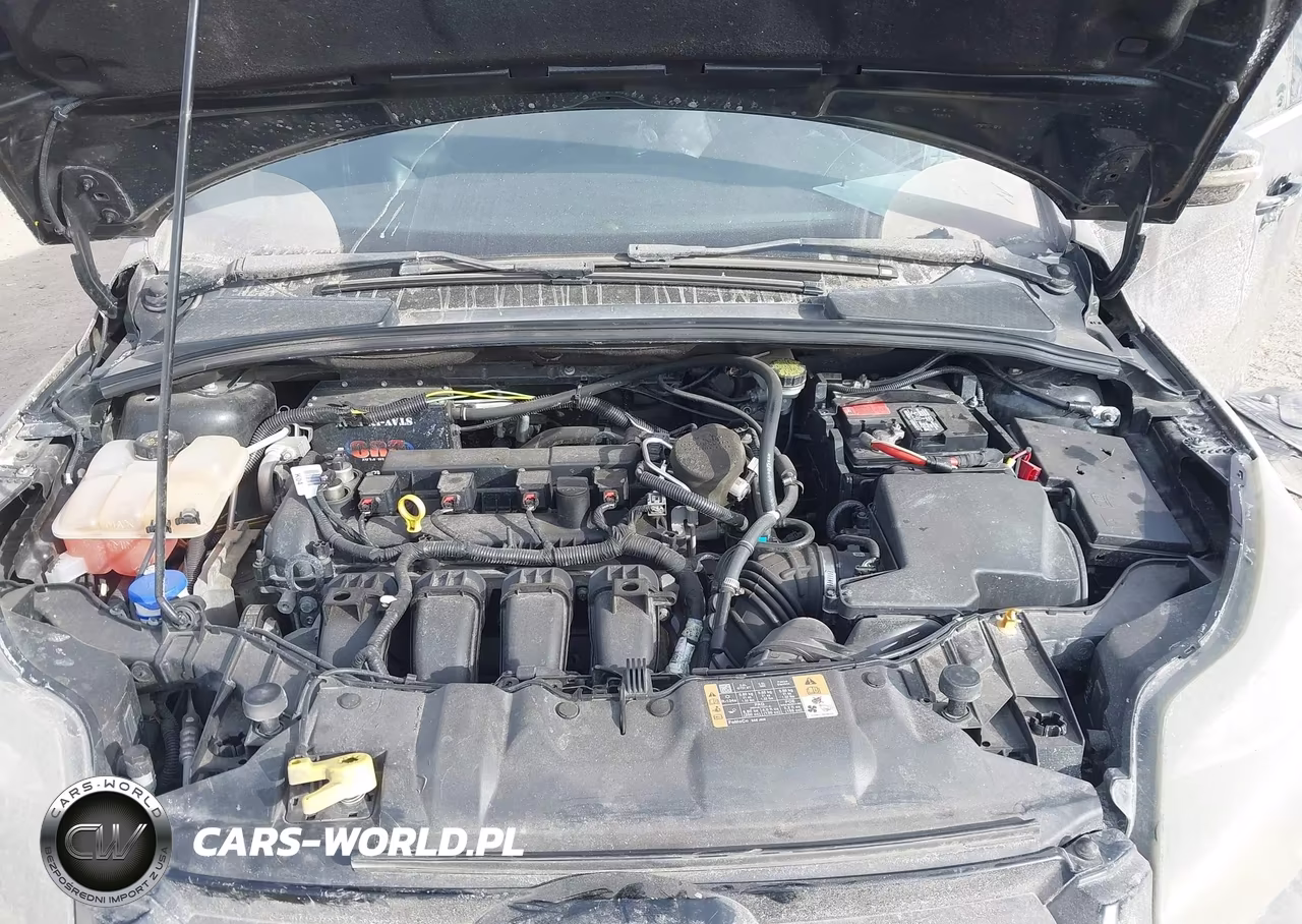 2014 Ford Focus Titanium VIN:1FADP3N24EL410448 - 10