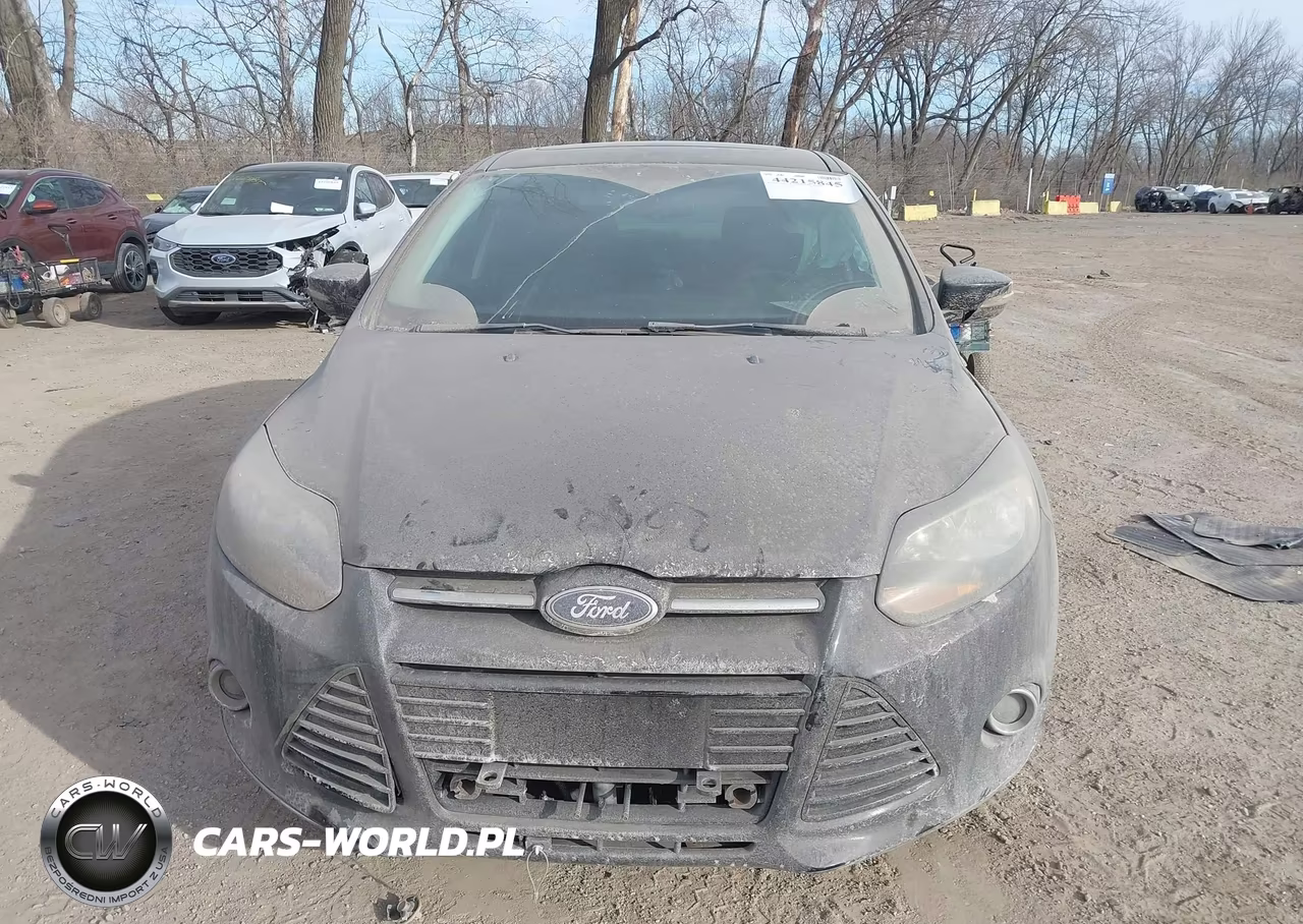 2014 Ford Focus Titanium VIN:1FADP3N24EL410448 - 12