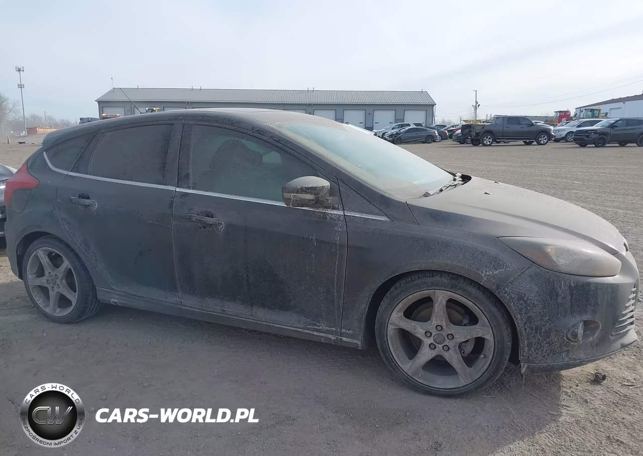 2014 Ford Focus Titanium VIN:1FADP3N24EL410448 - 13