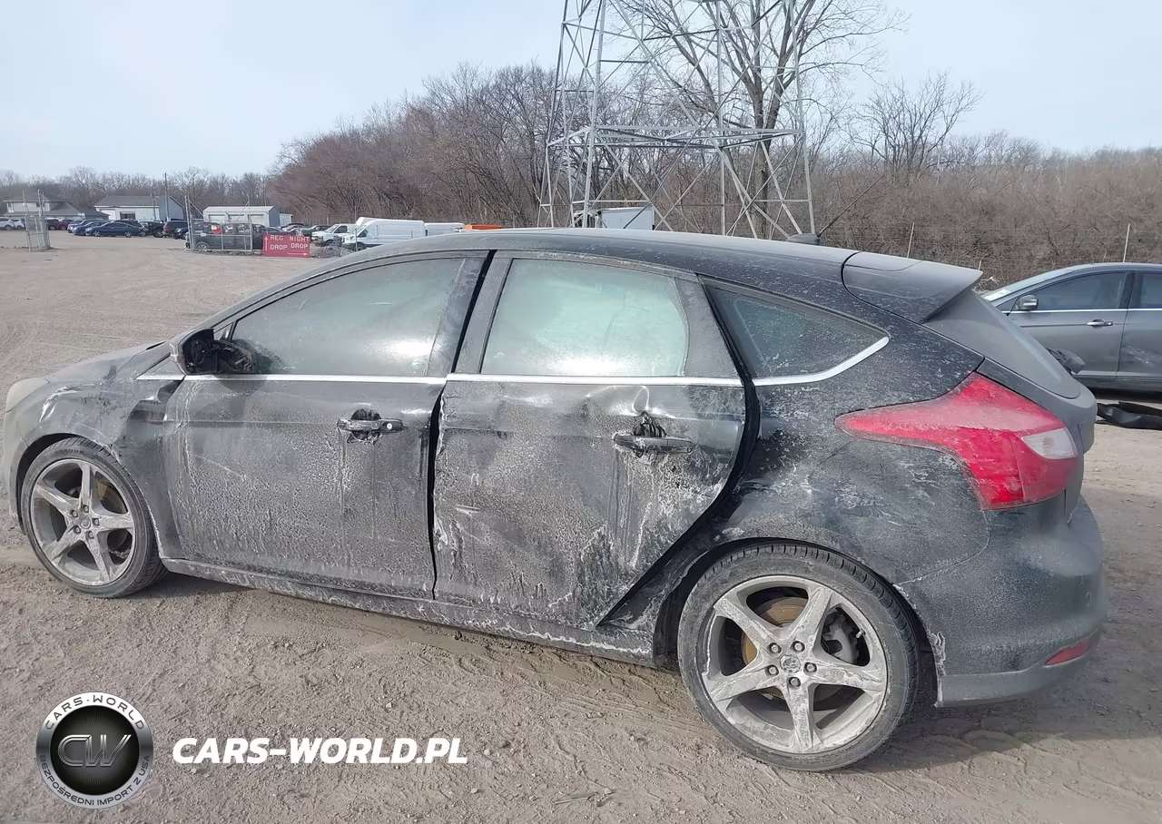 2014 Ford Focus Titanium VIN:1FADP3N24EL410448 - 14