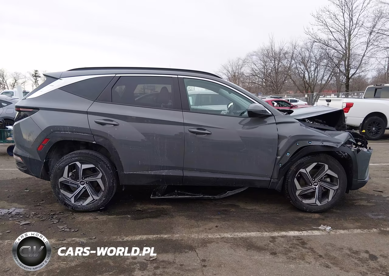 2024 Hyundai Tucson Sel VIN:5NMJFCDE8RH377585 - 13