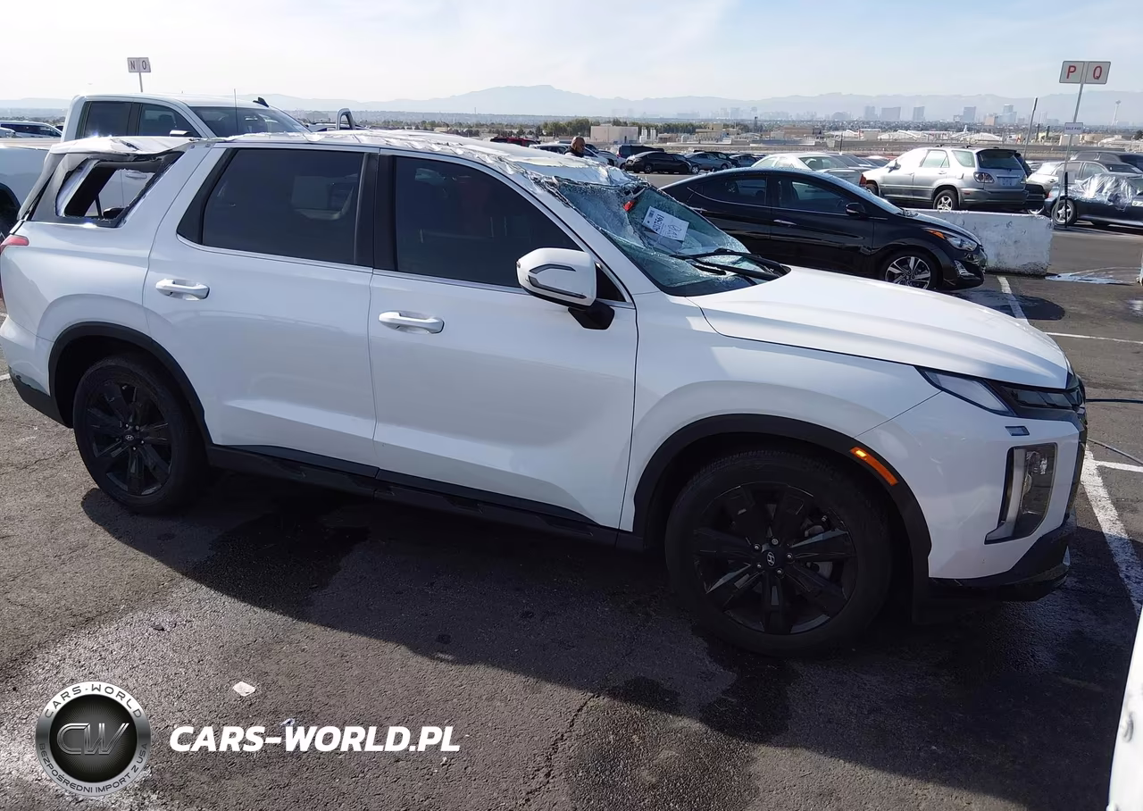 2023 Hyundai Palisade Xrt – zdjęcie 1 z 20