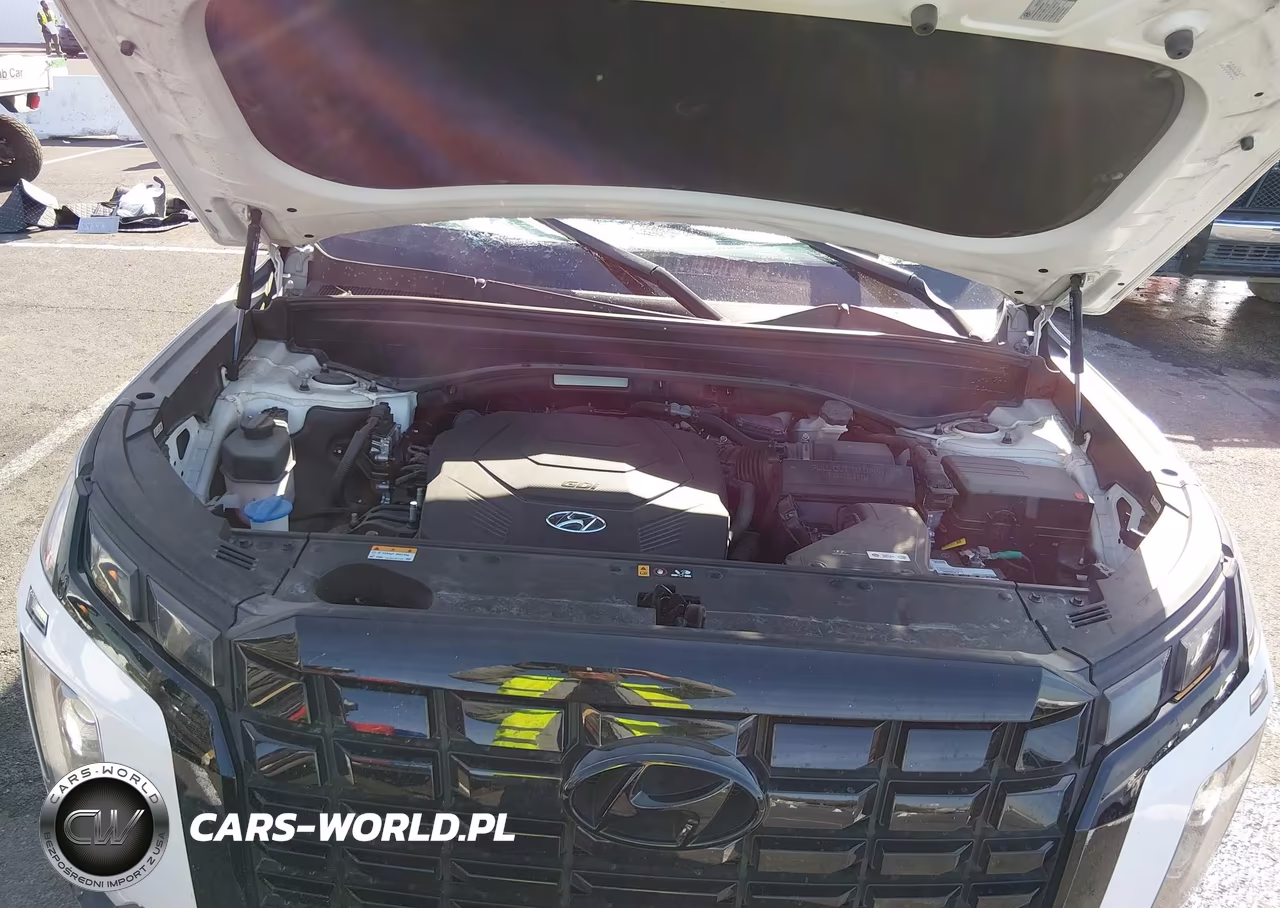 2023 Hyundai Palisade Xrt VIN:KM8R34GE7PU499255 - 10