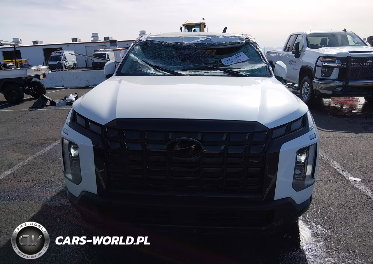2023 Hyundai Palisade Xrt VIN:KM8R34GE7PU499255 - 12