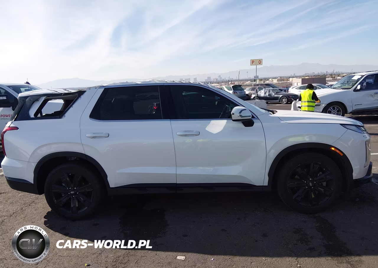 2023 Hyundai Palisade Xrt VIN:KM8R34GE7PU499255 - 13