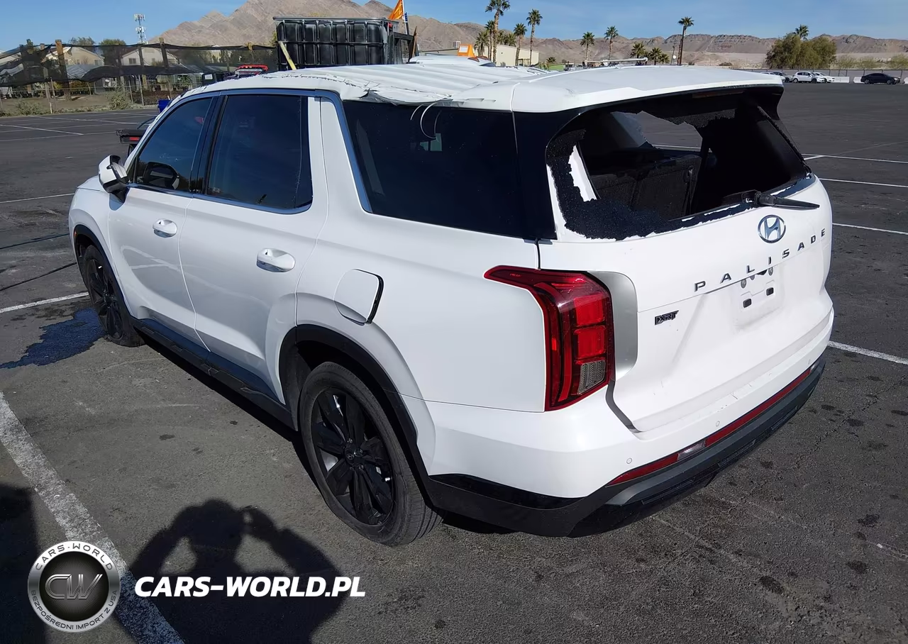 2023 Hyundai Palisade Xrt VIN:KM8R34GE7PU499255 - 3