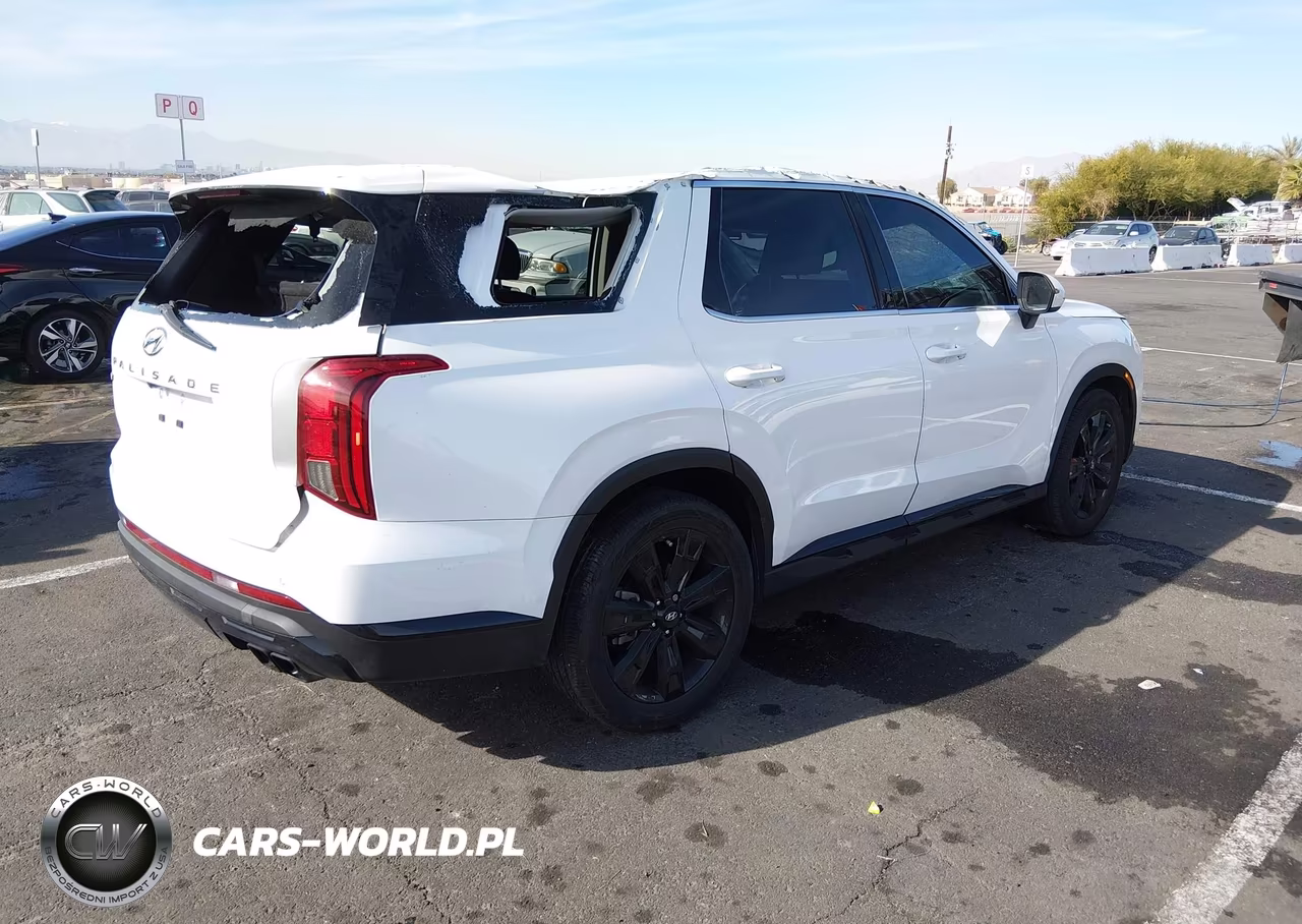 2023 Hyundai Palisade Xrt VIN:KM8R34GE7PU499255 - 4