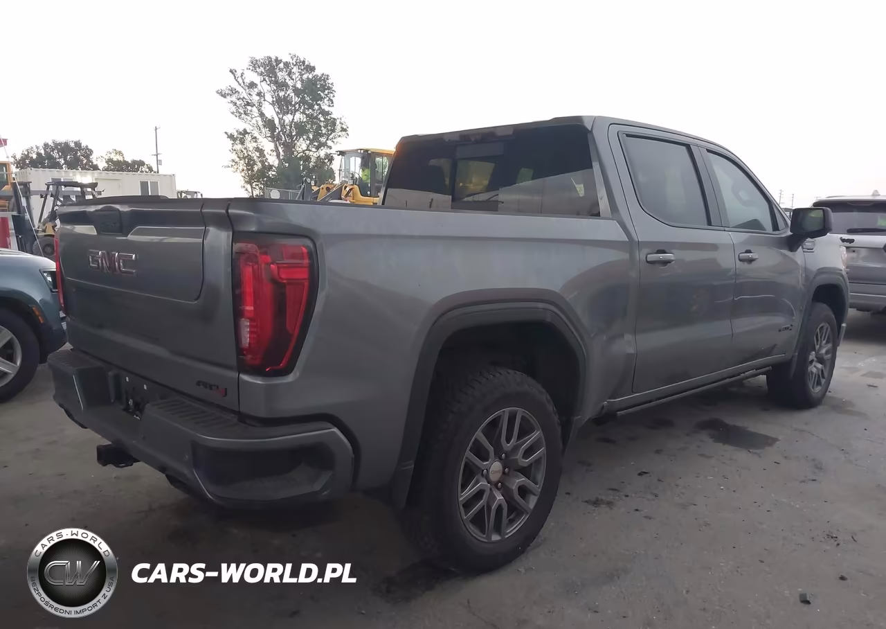 2020 GMC Sierra 1500 4Wd Short Box At4 VIN:1GTP9EEL6LZ354125 - 4