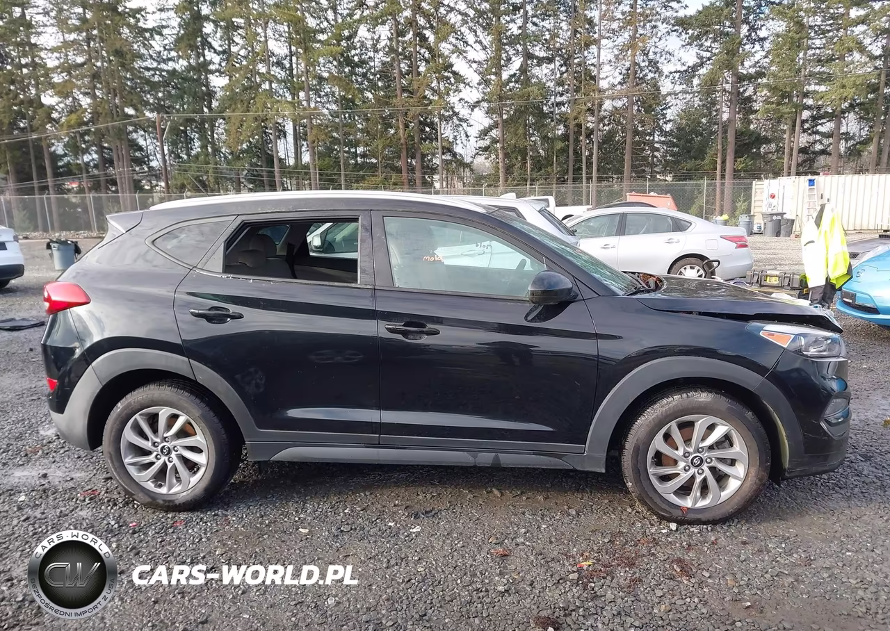 2016 Hyundai Tucson Se VIN:KM8J3CA41GU101299 - 12