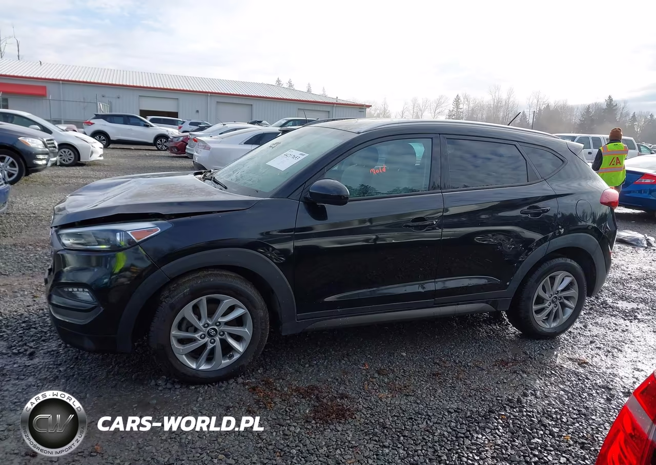 2016 Hyundai Tucson Se VIN:KM8J3CA41GU101299 - 13
