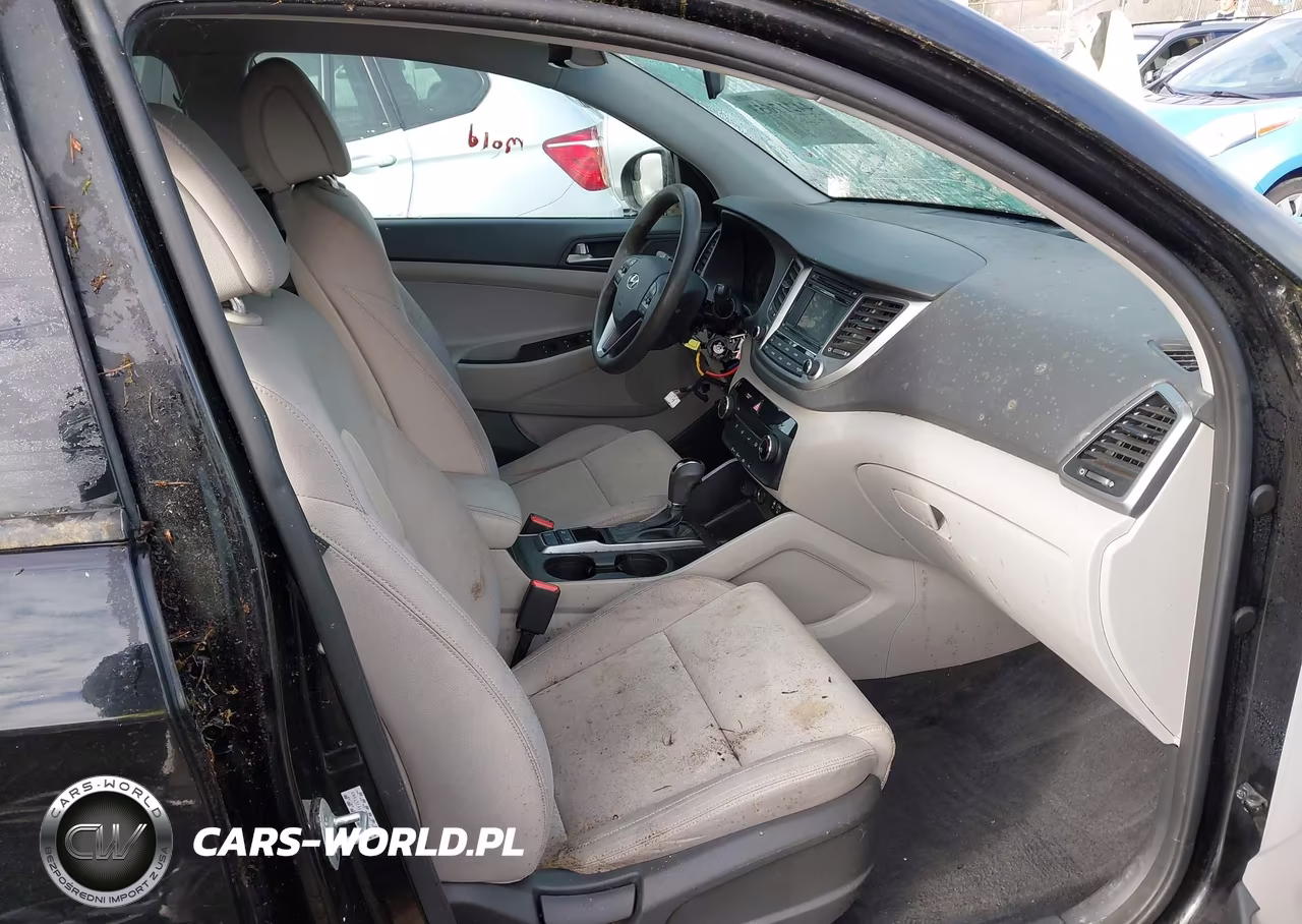 2016 Hyundai Tucson Se VIN:KM8J3CA41GU101299 - 16