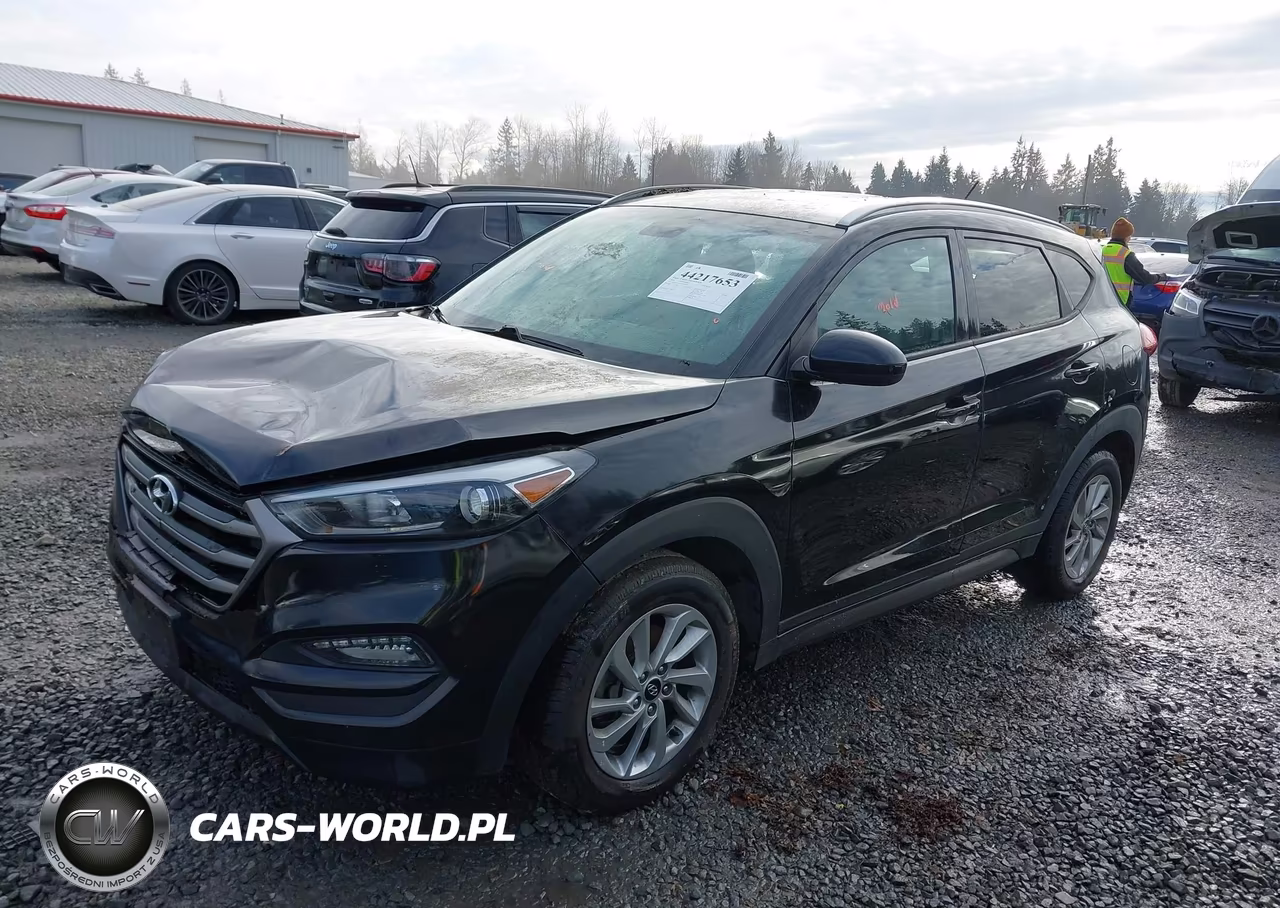 2016 Hyundai Tucson Se VIN:KM8J3CA41GU101299 - 2
