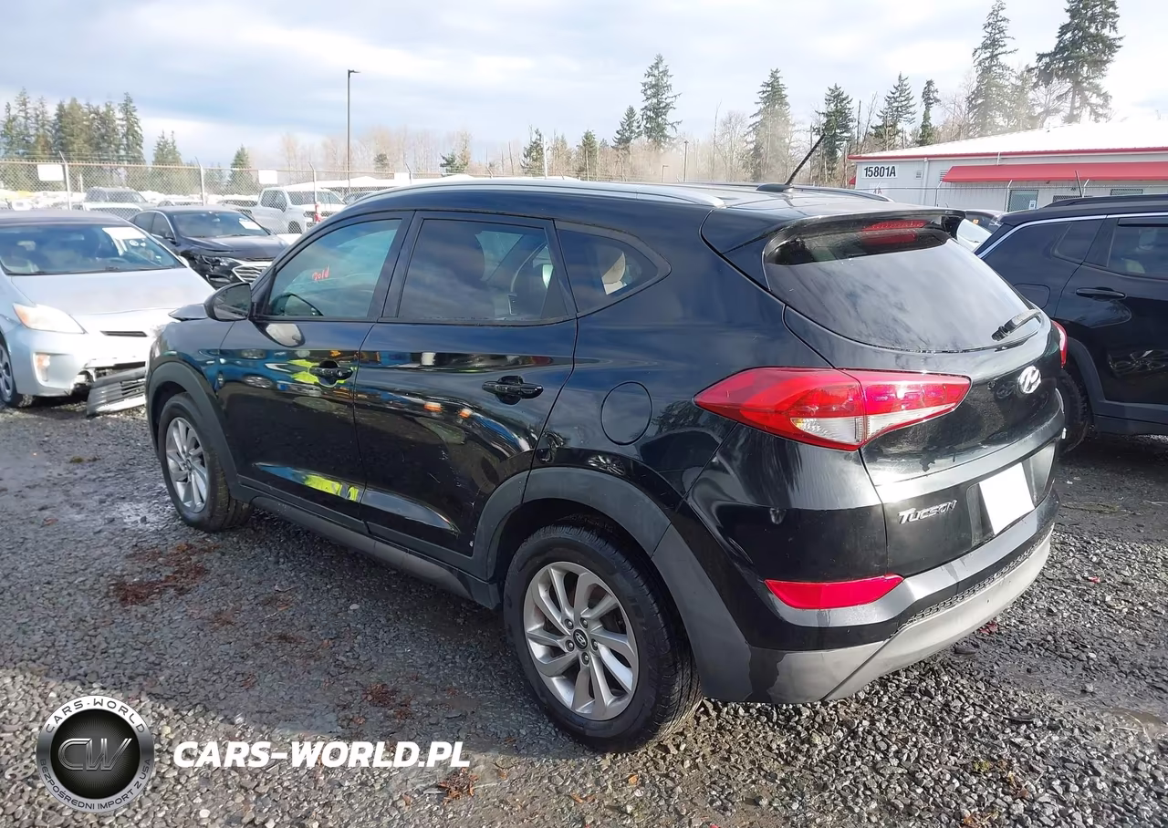 2016 Hyundai Tucson Se VIN:KM8J3CA41GU101299 - 3
