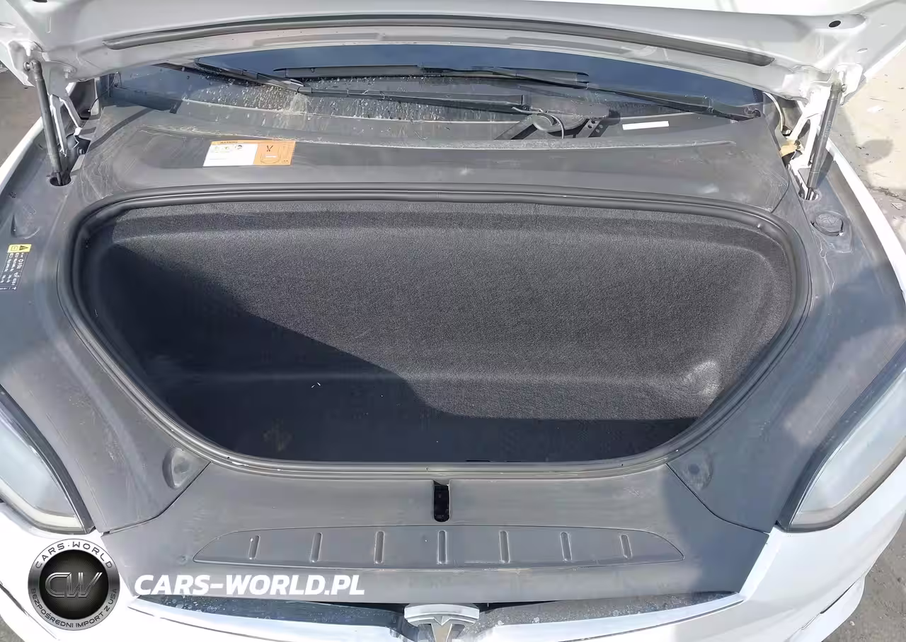 2018 Tesla Model X 100D-75D-P100D VIN:5YJXCBE25JF110637 - 10