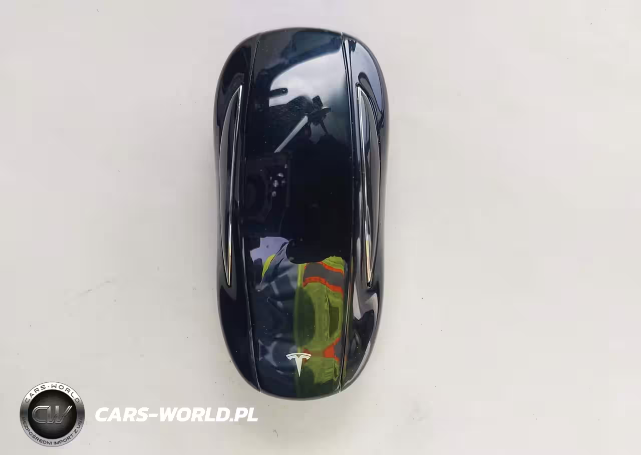 2018 Tesla Model X 100D-75D-P100D VIN:5YJXCBE25JF110637 - 11
