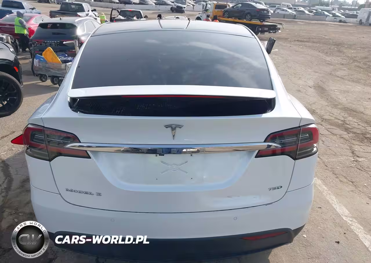 2018 Tesla Model X 100D-75D-P100D VIN:5YJXCBE25JF110637 - 16