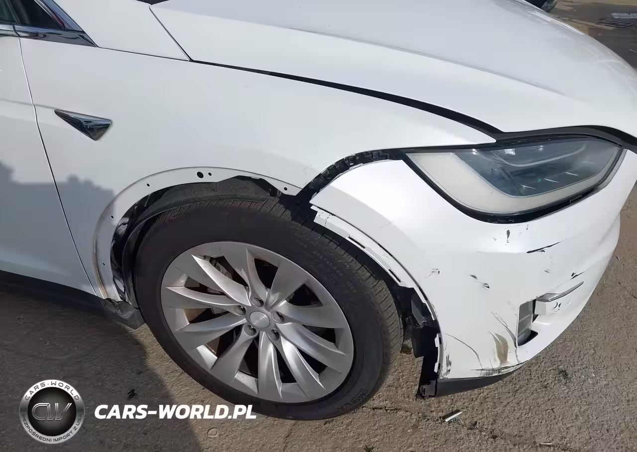 2018 Tesla Model X 100D-75D-P100D VIN:5YJXCBE25JF110637 - 19