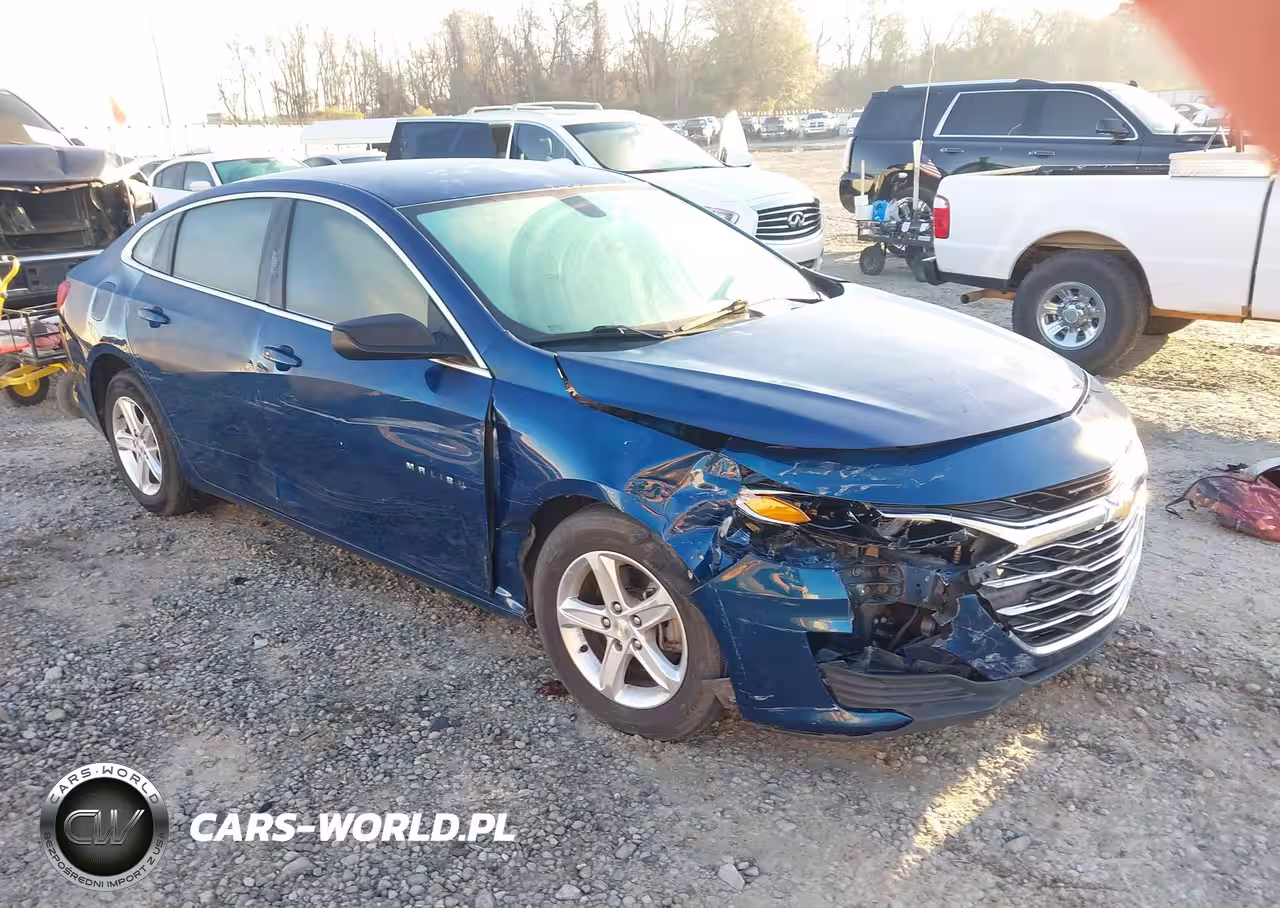 2019 Chevrolet Malibu 1Ls