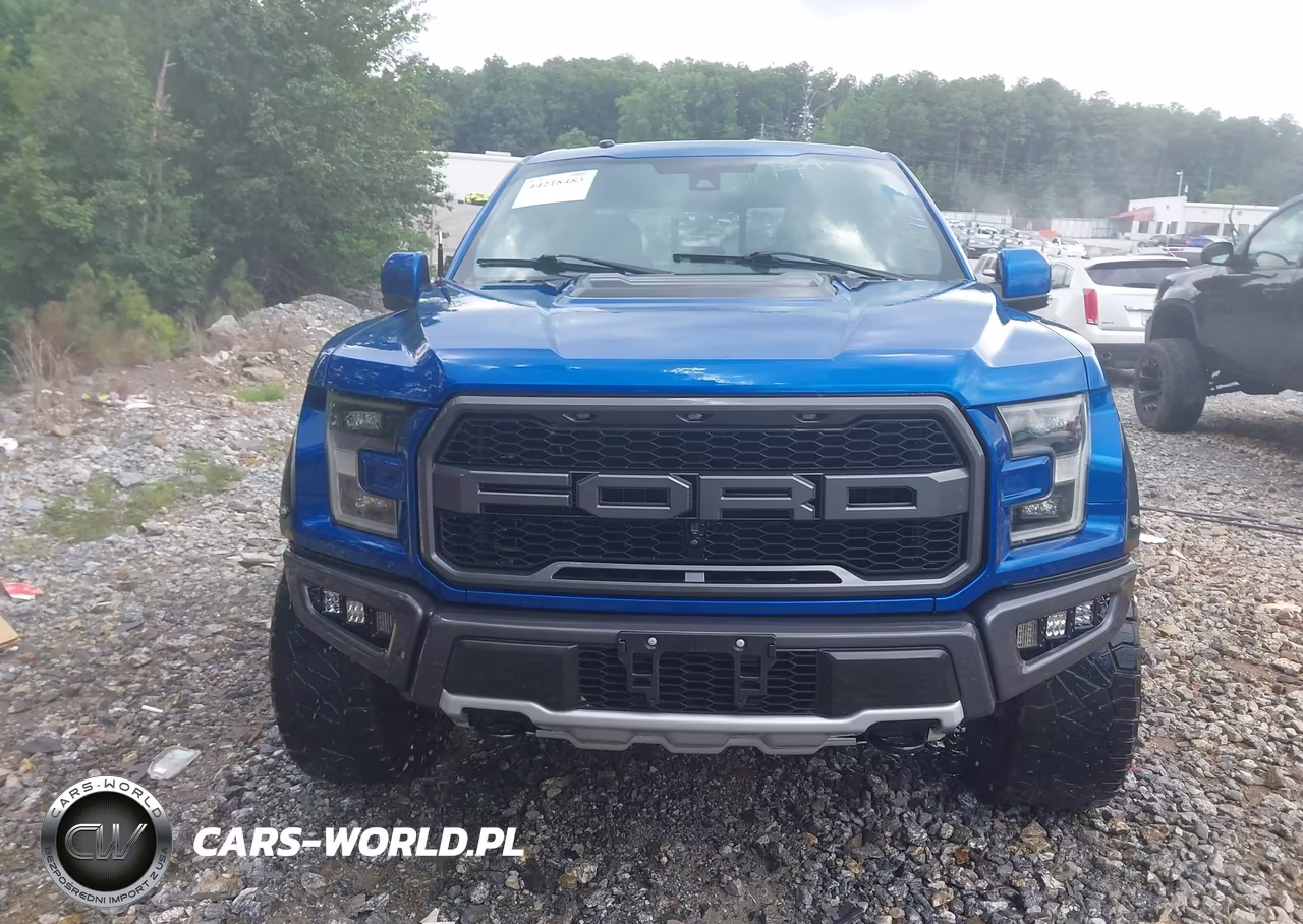 2018 Ford F-150 Raptor VIN:1FTFW1RG8JFD72070 - 12