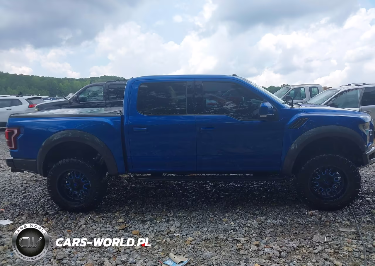 2018 Ford F-150 Raptor VIN:1FTFW1RG8JFD72070 - 13
