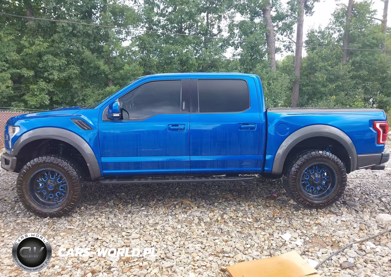 2018 Ford F-150 Raptor VIN:1FTFW1RG8JFD72070 - 14