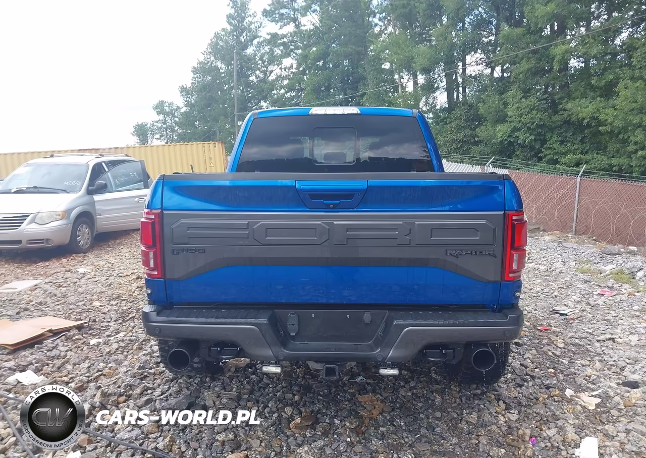 2018 Ford F-150 Raptor VIN:1FTFW1RG8JFD72070 - 16