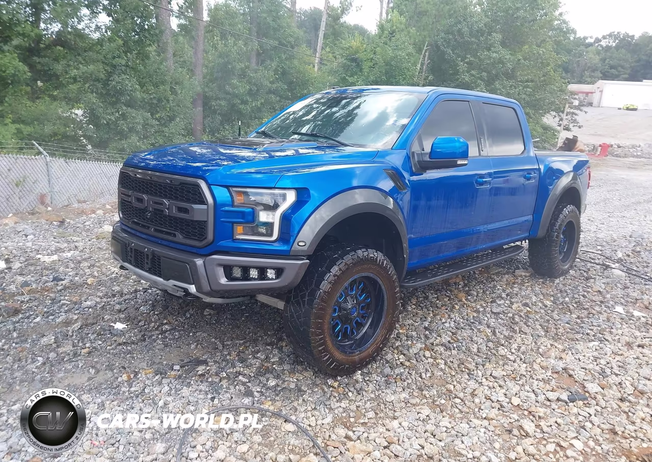 2018 Ford F-150 Raptor VIN:1FTFW1RG8JFD72070 - 2