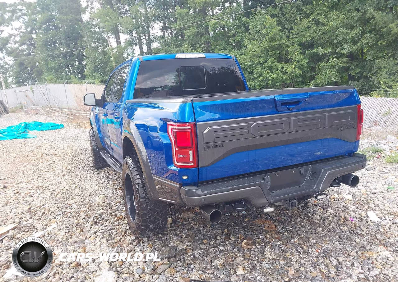 2018 Ford F-150 Raptor VIN:1FTFW1RG8JFD72070 - 3
