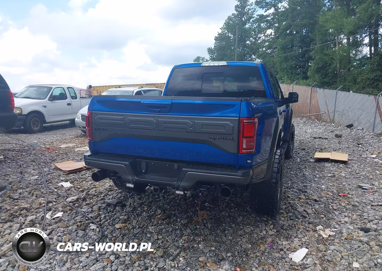 2018 Ford F-150 Raptor VIN:1FTFW1RG8JFD72070 - 4