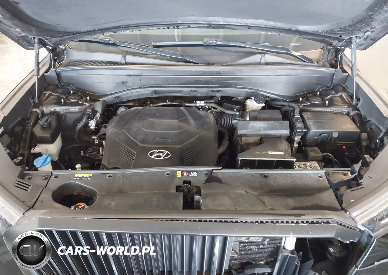 2020 Hyundai Palisade Sel VIN:KM8R3DHE3LU145225 - 10